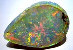 Opalized Shell